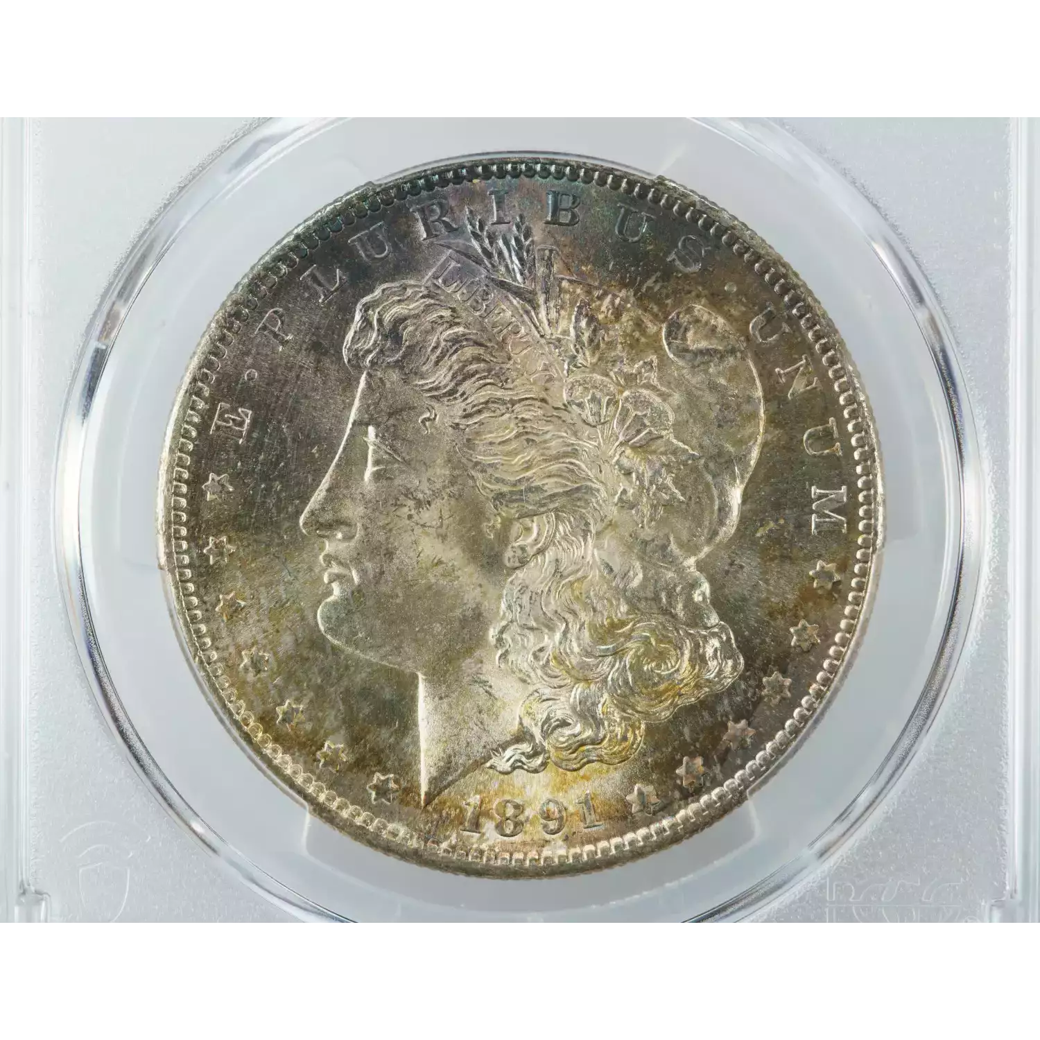 1891-S $1 (2)