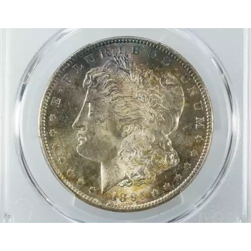 1891-S $1 (2)