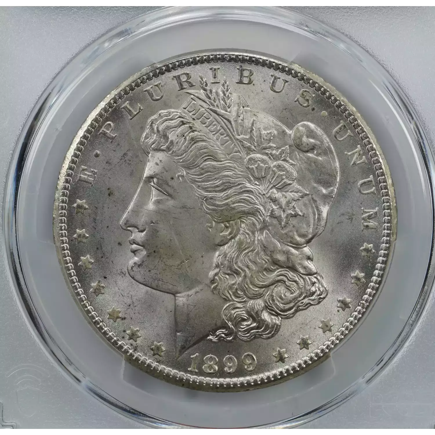 1899-O $1 (3)