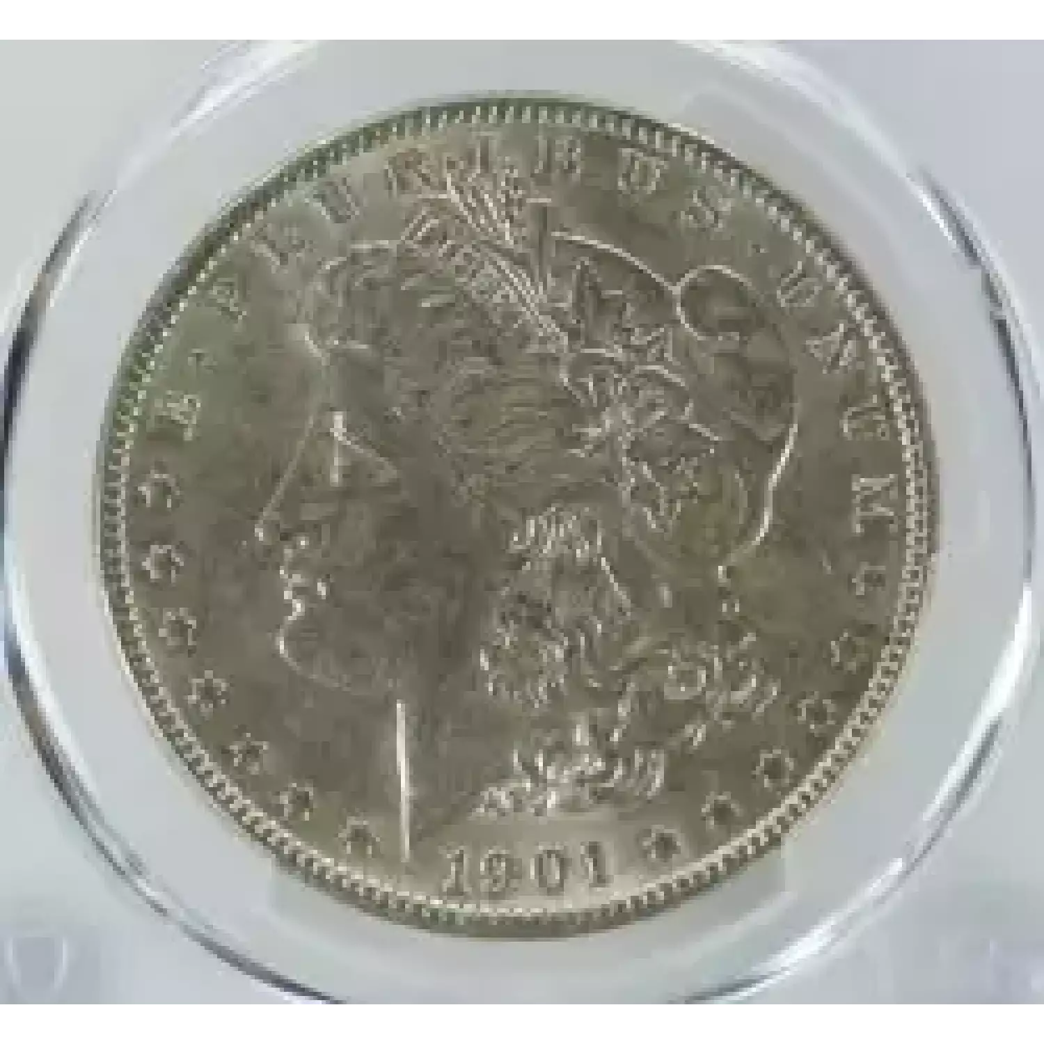 1901 $1 (5)