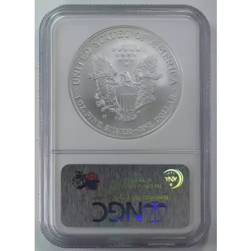 2008 W BURNISHED SILVER EAGLE REVERSE OF 2007  (4)