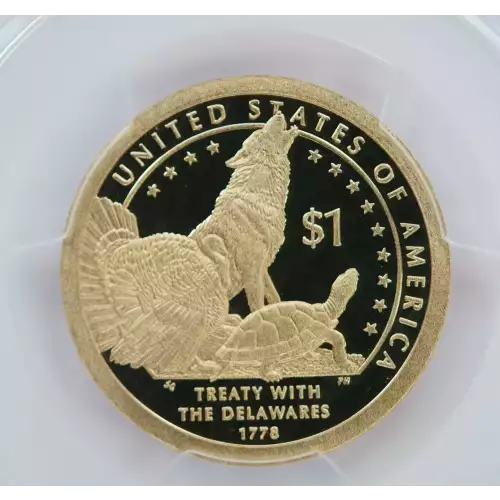 2013-S $1 Native American, DCAM