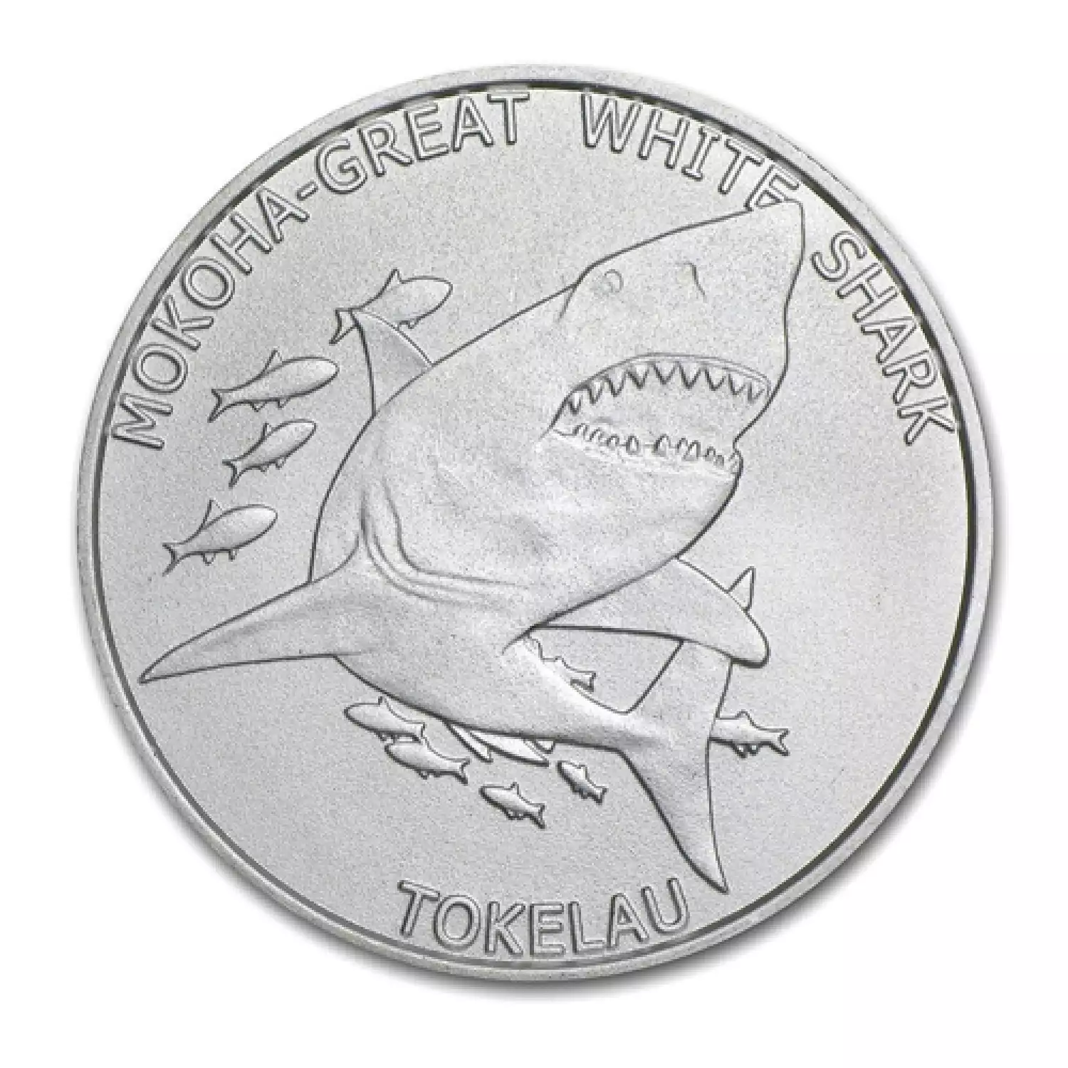 2015 1 oz Tokelau Silver Great White Shark Coin (2)
