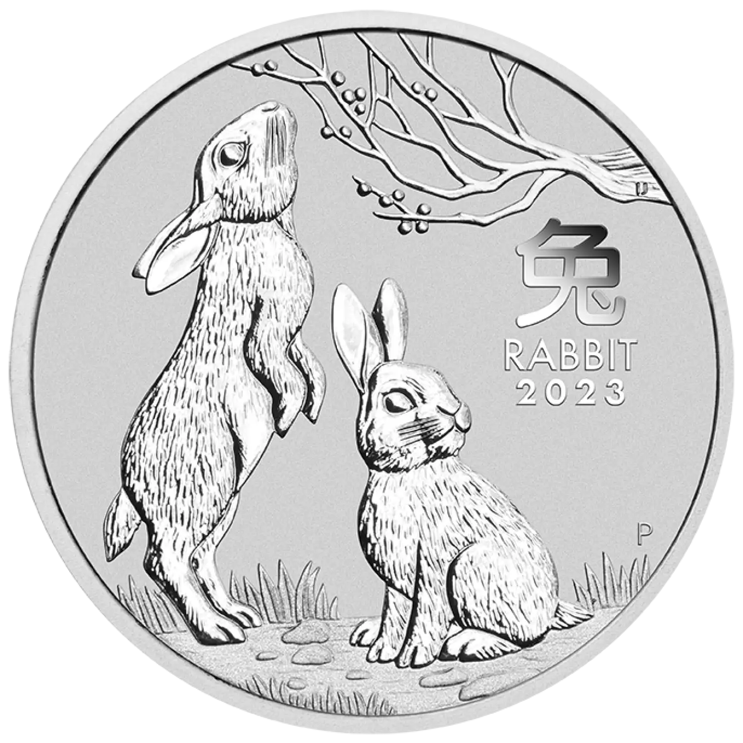 2023 1oz Australian Perth Mint Lunar Silver Rabbit (2)