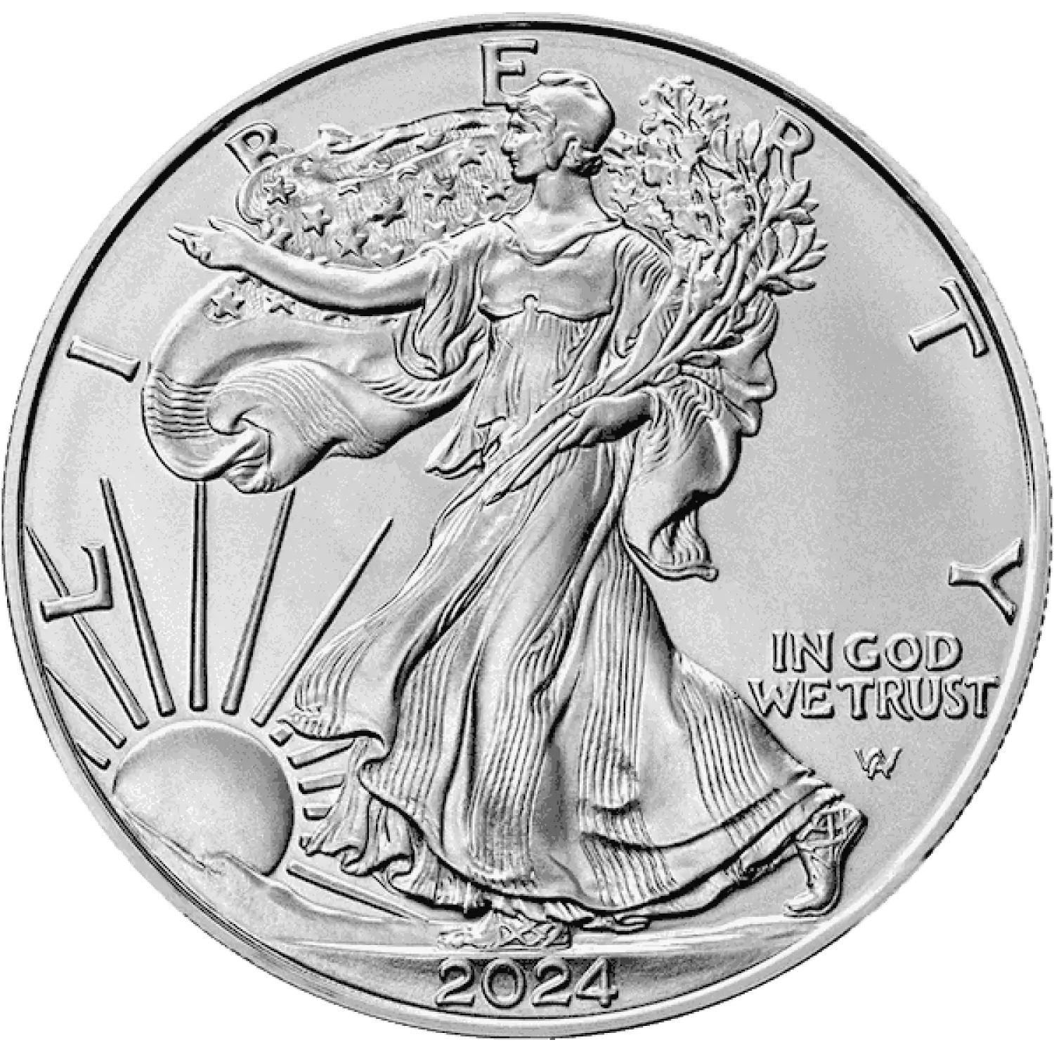 2024 1oz American Silver Eagle (2)