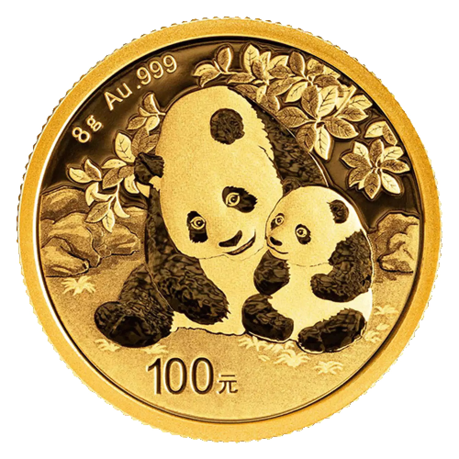 2024 8g Chinese Gold Panda (2)