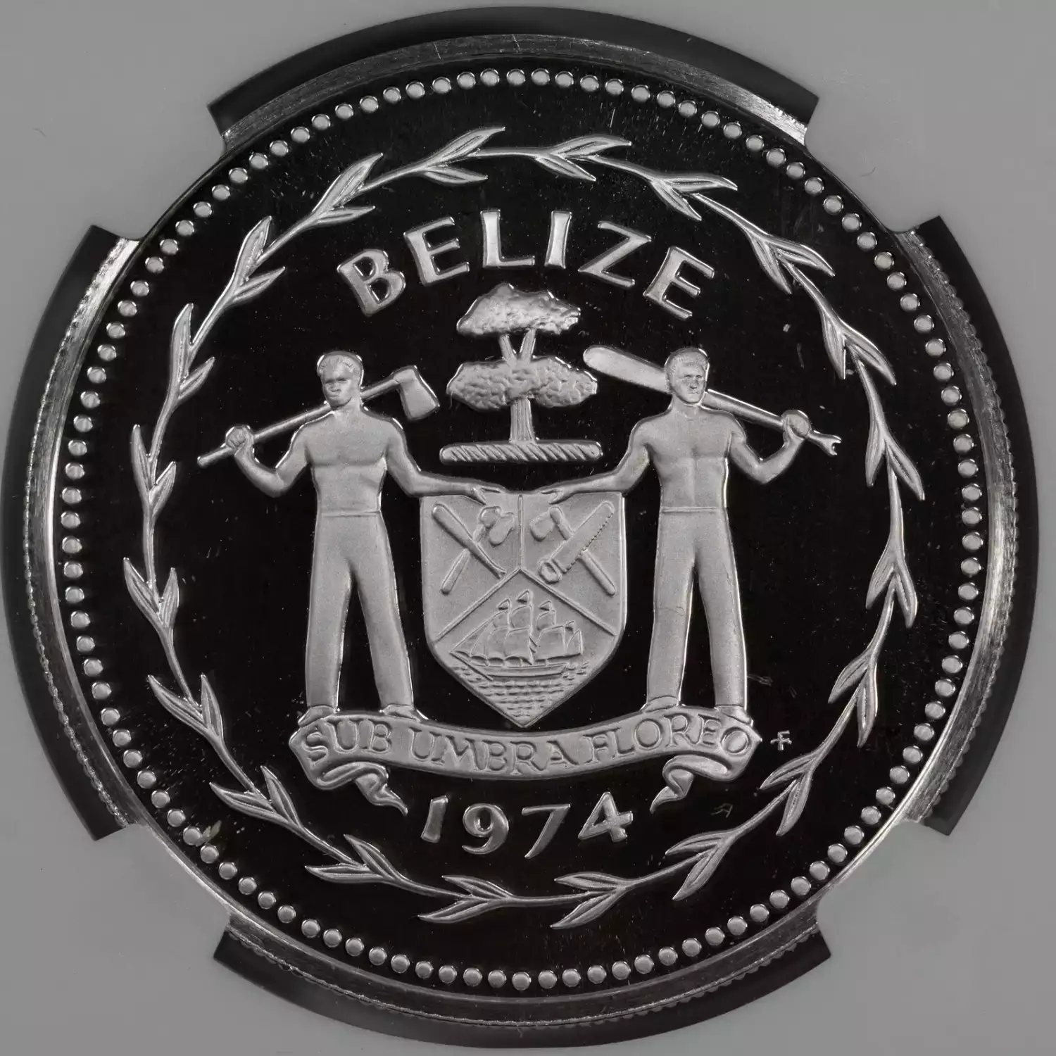 BELIZE Silver DOLLAR (4)