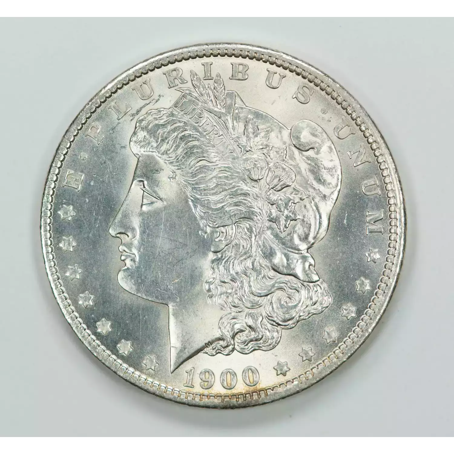 Morgan Silver Dollar (6)